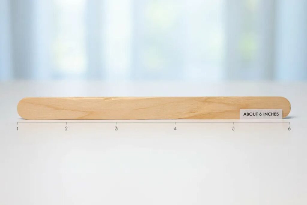 A jumbo craft stick about 6 inches long shown next to a dollar bill