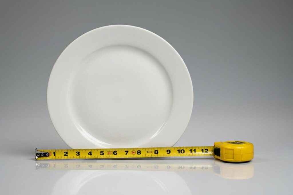 A standard dinner plate about 10 inches wide as a visual size reference