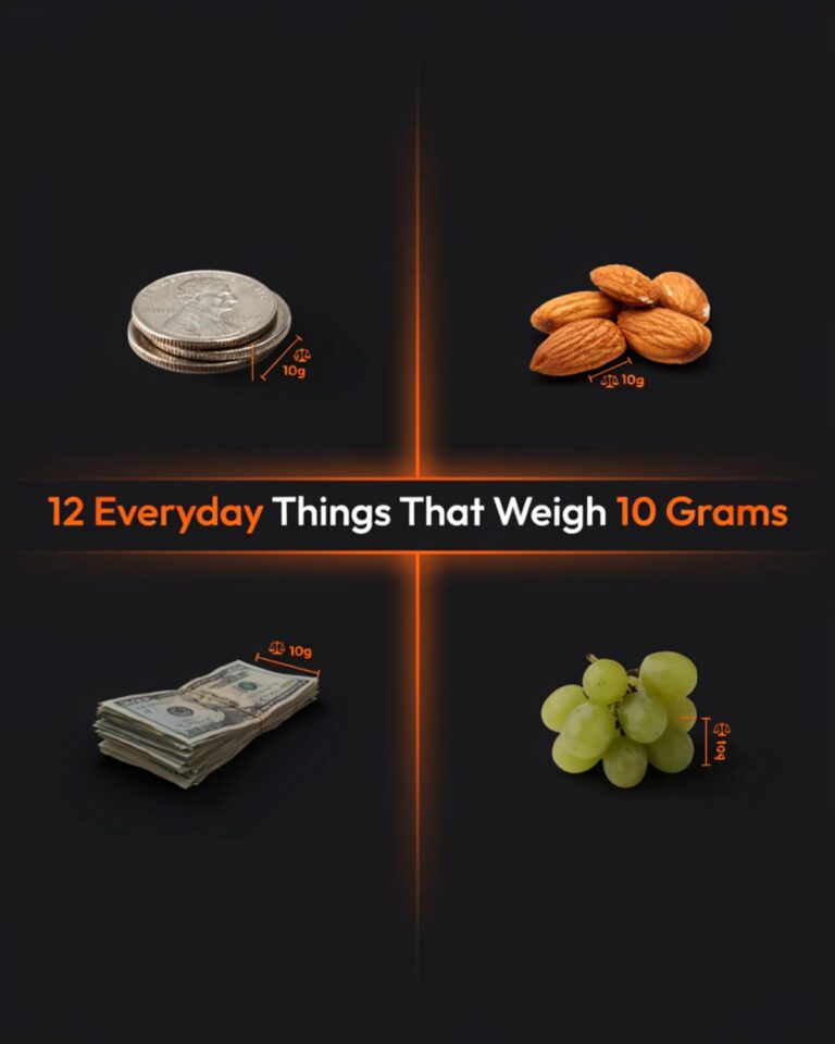 Common things that weigh 10 grams including two nickels, almonds, dollar bills, and grapes