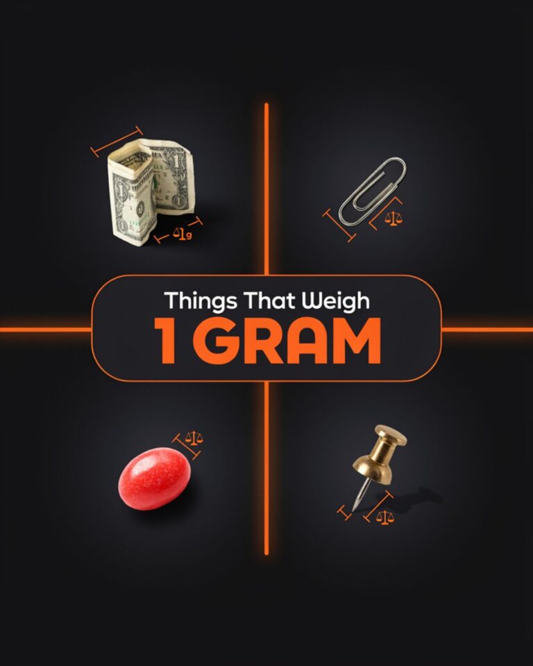 Common things that weigh 1 gram including a dollar bill, paperclip, jelly bean, and thumbtack